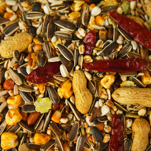 SQUAWK Premium Parrot Food - High Energy Nutritious Bird Nuts Seeds Oats Feed 2