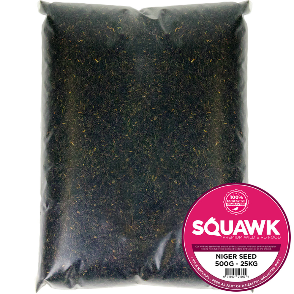 SQUAWK Niger Seeds - Quality Wild Bird Feed High Energy Garden Finch Food