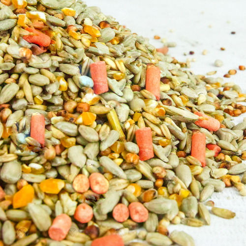 SQUAWK Premium Wild Bird Food (1kg) 2