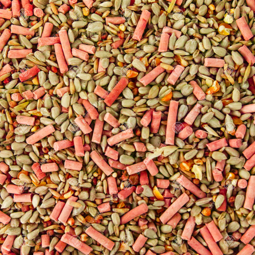 SQUAWK Premium Wild Bird Food (1L) 2