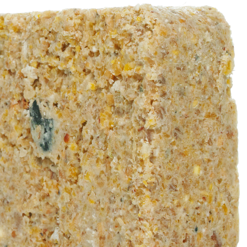 SQUAWK Suet Blocks (Mealworm, 3) 2