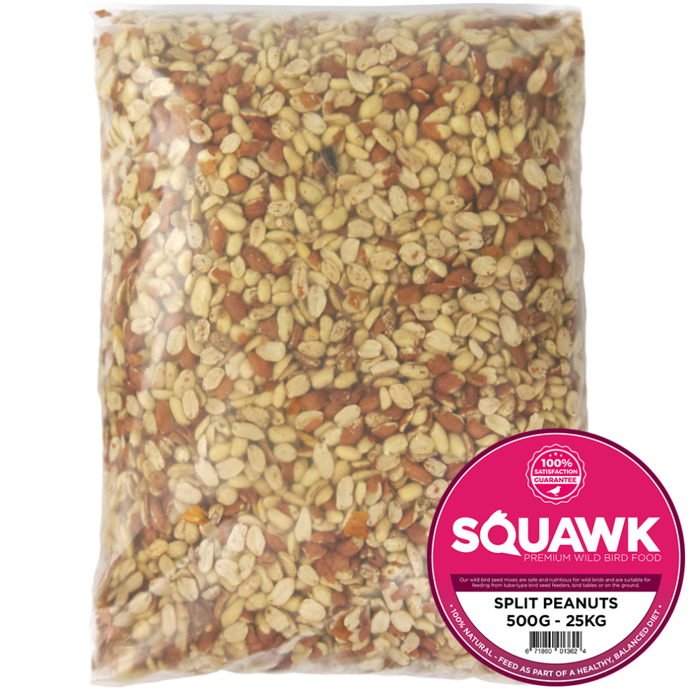 SQUAWK Split Peanuts - Wild Bird Premium Grade Garden Birds Fresh Food Mixture