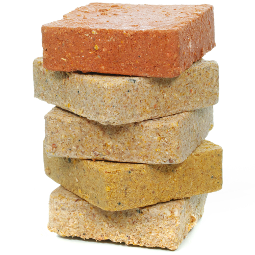SQUAWK Suet Blocks (Mixed, 50) 1