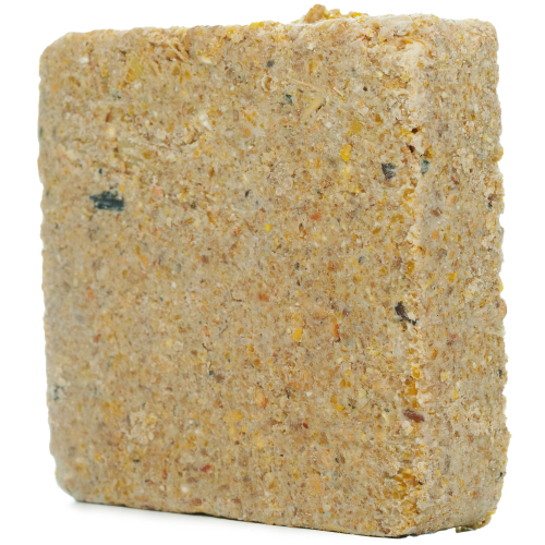 SQUAWK Suet Blocks (Sunflower Heart, 1) 1
