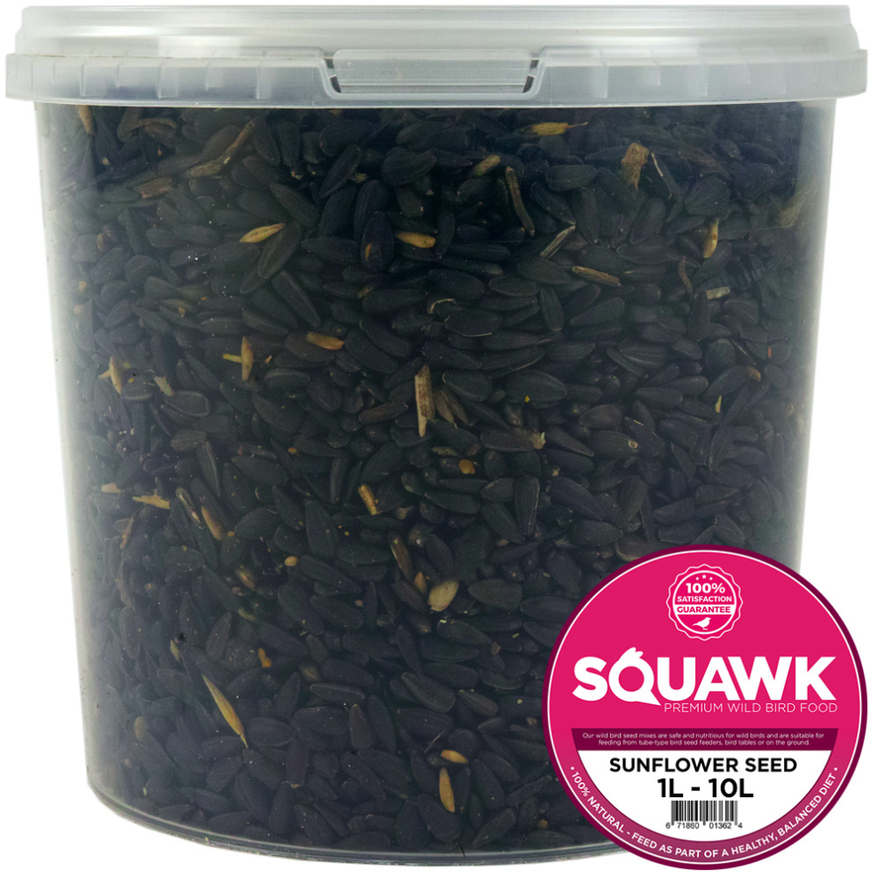 Squawk Oil Sunflower Seeds - Wild Garden Bird Food Oil Rich Feed Black