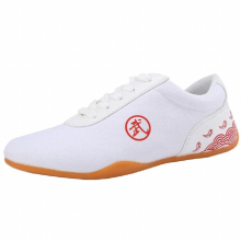 Shoes for Unisex Adult Exercise Kung Fu Taiji Tai Chi Shoes Taekwondo Wear-resistant Wushu Breathable Canvas Sneaker