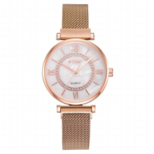 Foreign Trade Leisure Watch Jitter Network Red with Magnet with Female Watch Water Drill Roman Quartz Watch