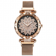 Quartz Wristwatches Female Ladies Magnetic Watches Women Clock Diamond Womens Watch All Watch And