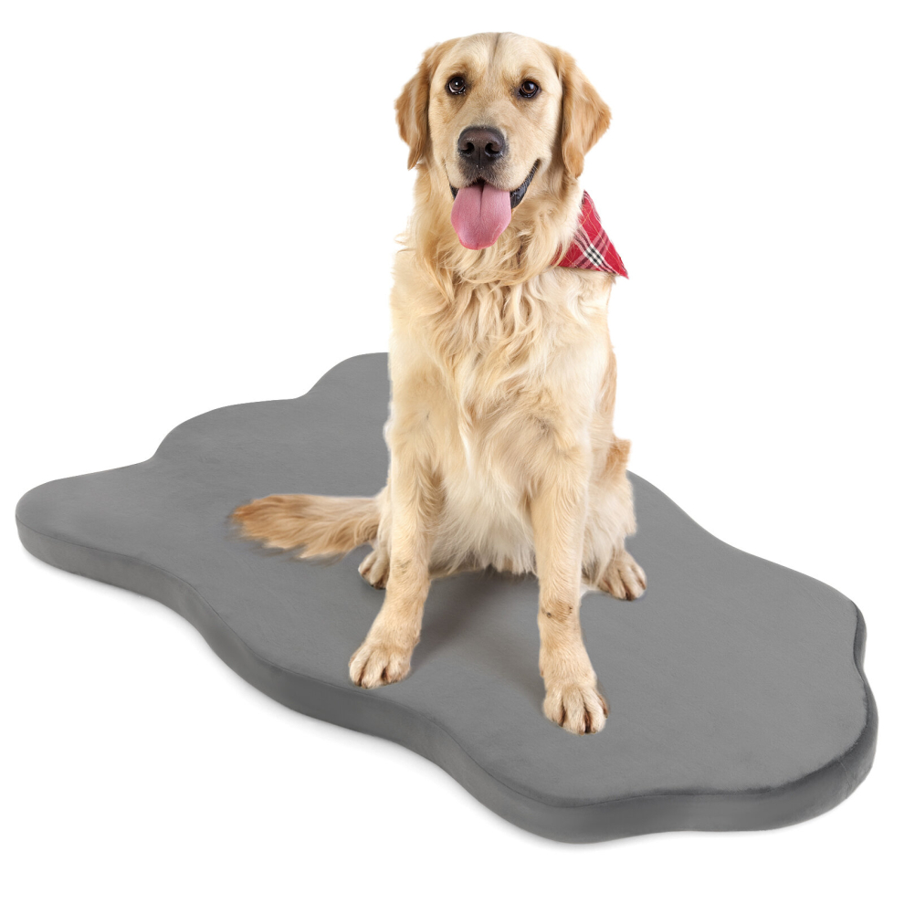 Dog Bed for Large Dogs Orthopedic Dog Bed with Memory Foam Support Waterproof