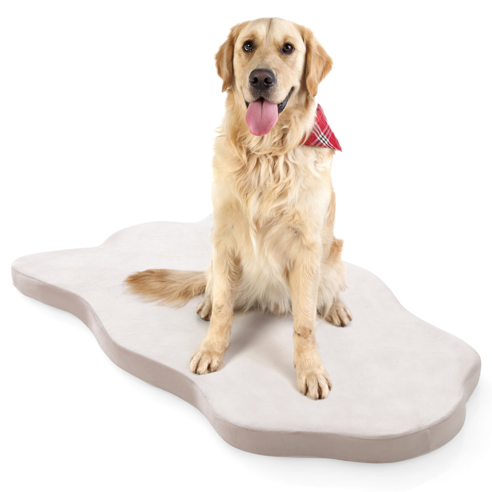 Dog Bed for Large Dogs Orthopedic Dog Bed with Memory Foam Support Waterproof