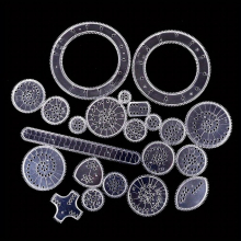 22kpl Spirograph Piirustuslelut Set Interlocking Gears & Wheels Geometrinen viivoitin Piirustustarvikkeet Luova kasvatuksellinen lasten lelu