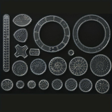22pcs set Drawing Toys Ruler Set Interlocking Gears & Wheels Drawing Accessories