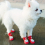 Keep Your Pets Paws Safe & Dry With These Adorable Cartoon Monkey Pattern Rain Boots 3