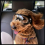 Windproof Dog Goggles with Adjustable Straps for Outdoor Adventures 6