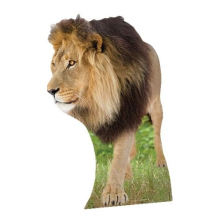 Lion Lifesize Cardboard Cutout - 130cm
