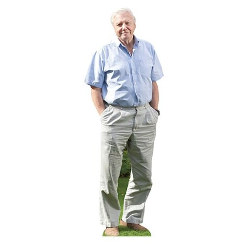 David Attenborough Mini Cardboard Cutout 90cm