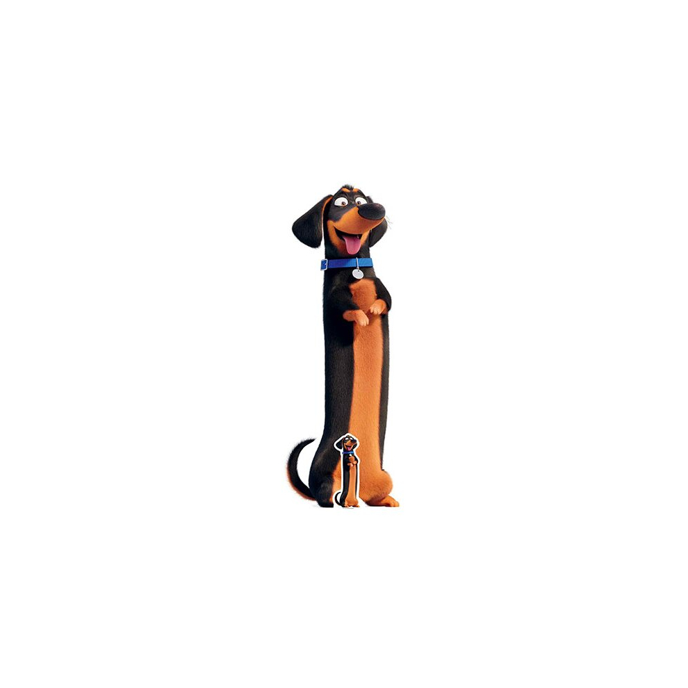 Buddy Sausage Dog Secret Life of Pets Star Mini Cardboard Cutout 131cm