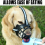 Dog Muzzle Silicone Basket Muzzle For Small Medium And Large Dogs Soft Basket Muzzle Prevent Biting And Chewing Allow Drinking And Panting Prevent Dog 6