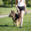 Dog Muzzle Silicone Basket Muzzle For Small Medium And Large Dogs Soft Basket Muzzle Prevent Biting And Chewing Allow Drinking And Panting Prevent Dog 10