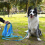 Waterproof Dog Leash For Training Durable Long Lead For Large Medium Small Dogs 13