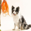 Waterproof Dog Leash For Training Durable Long Lead For Large Medium Small Dogs 12