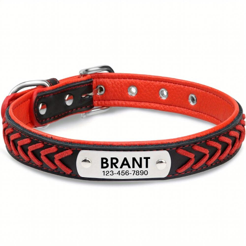 Personalized Braided Leather Dog Collar with Engraved Nameplate ...