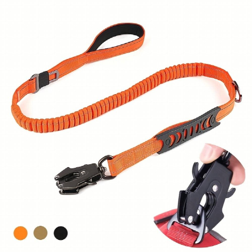 Retractable Dog Leash Multifunctional Elastic Adjustable & Padded for Training & Comfort 1