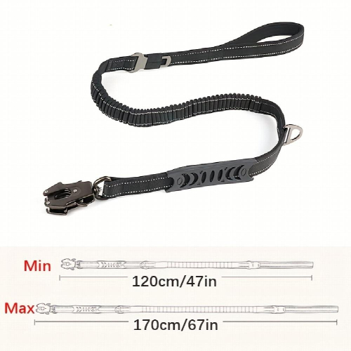 Retractable Dog Leash Multifunctional Elastic Adjustable & Padded for Training & Comfort 2