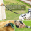 Retractable Dog Leash Multifunctional Elastic Adjustable & Padded for Training & Comfort 12