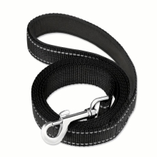 Taglory Reflective Dog Leash Soft Padded Handle for Comfortable Training and Walking Ideal for Medium and Small Dogs High Visibility for Safety