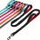 Durable Double Handled Nylon Dog Leash for Effective Training and Comfortable Walks 2