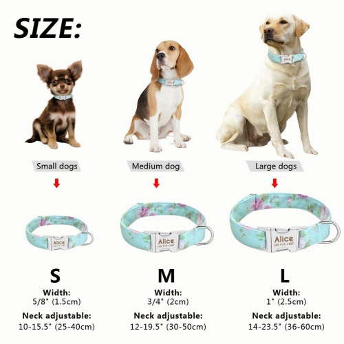 Personalized Dog Collars Customized Metal Buckle Soft Padded Nylon ...