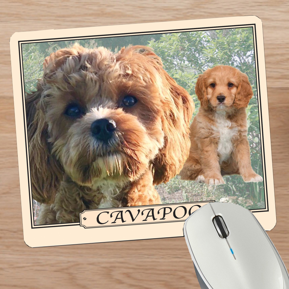 Cavapoo Dog Breed Mouse Mat Gift 731722912189