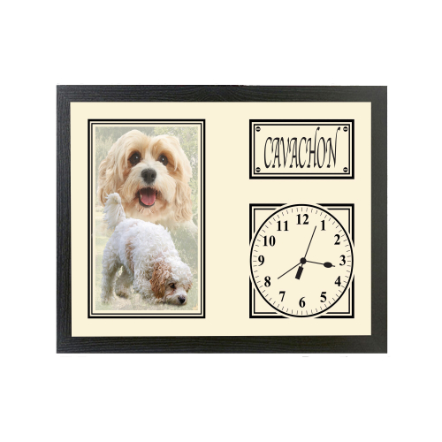 Cavachon Dog Breed Gift Clock