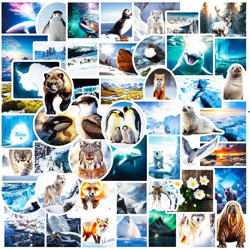 Tianci 50Pcs Polar Region Animals Stickers Polar Landscape Waterproof Vinyl Decals Water Bottles Laptop Luggage Mobile Phone Guitar Skateboard Decoration