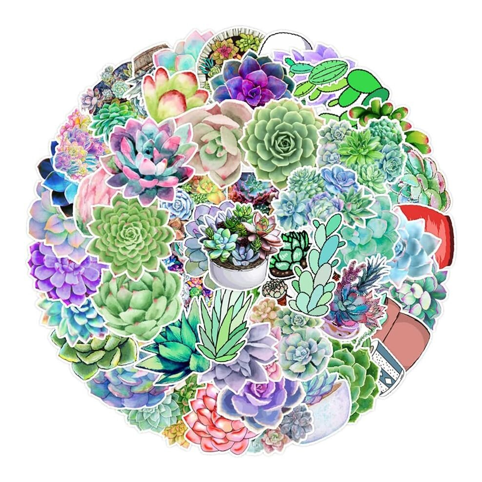 Tianci Various Unique Succulent Plants Stickers |50 Pcs|Waterproof Stickers For Laptop Tablet Flasks Waterbottle Luggage Phone, Aesthetic Vinyl Decals Pack
