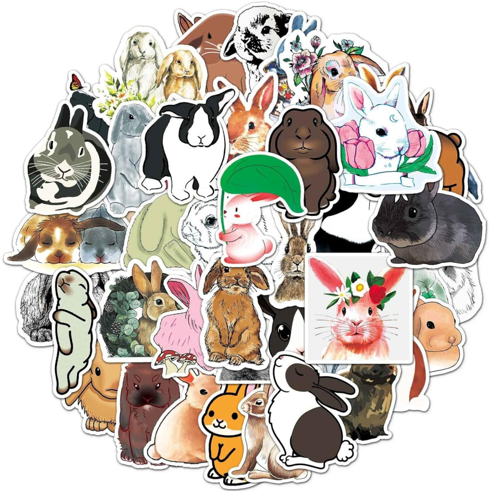 Tianci Cute Rabbit Stickers For Water Bottle,Waterproof Vinyl 50Pcs Stickers For Laptop Computer Phone Bumper Skateboard Luggage Stickers For Teenager Kids