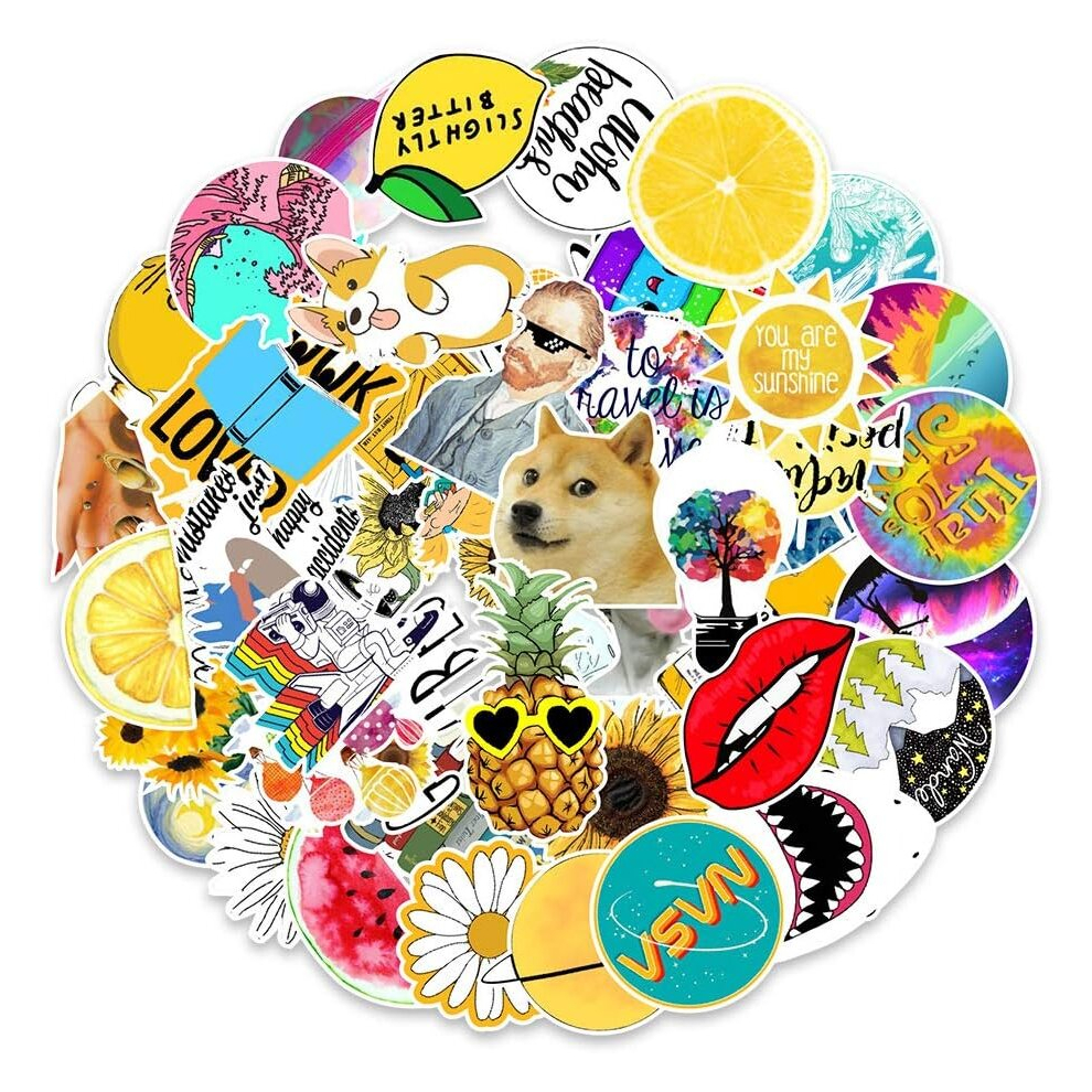 53Pcs Chrysanthemums Summer Stickers for Water Bottles, Vinyl Waterproof Decals for Laptop Skateboard Computer Phone Hydroflask for Adult KidTeen