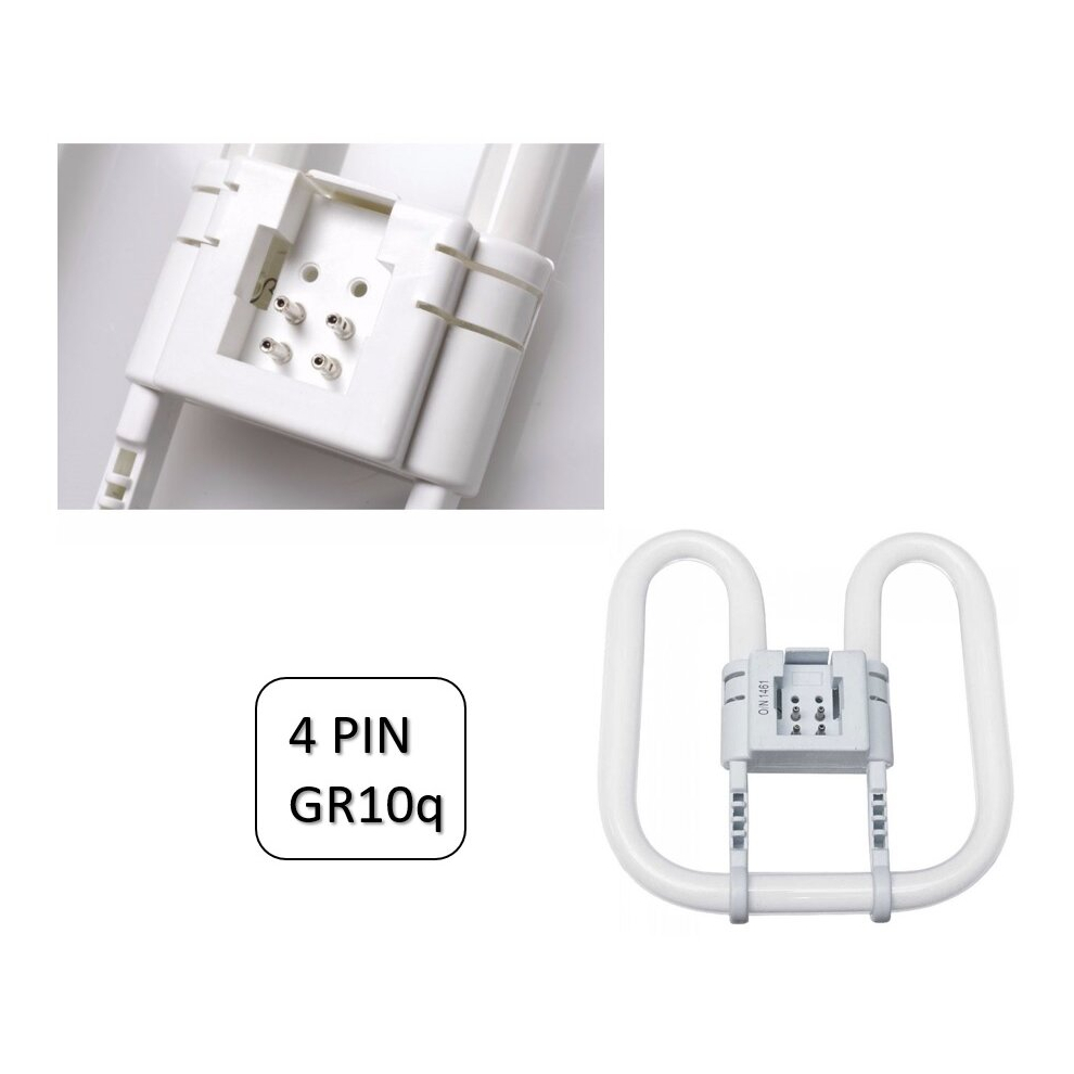 2Dm Square 16watt 4pin GR8 Colour 827 Warm Lightbulb