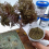 Tree cluster powder Scene Tree Model Making Material DIY Sand Table Material 120ML 5