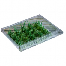 Miniaturization Weed clump Model DIY materials for sand table scene production Applicable ratio: 1:84-1:43