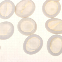 100x Latex Finger Sleeve Protector Finger Cots Model Coloring Spray Tool
