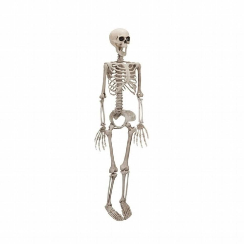 35.4 Inch Halloween Human Skeleton Full Body Halloween Skeleton Tricky ...