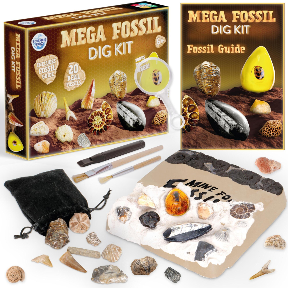 Science Kidz Mega Fossil Dig Kit - Kids Fossil Digging Set