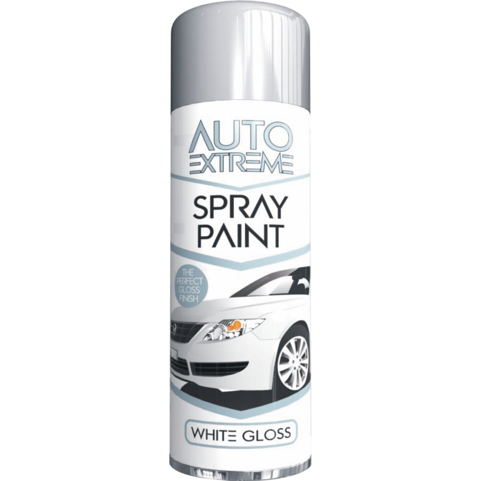 Rapide 250Ml Gloss Spray Paint Aerosol Can Auto Extreme Car Van Bike White