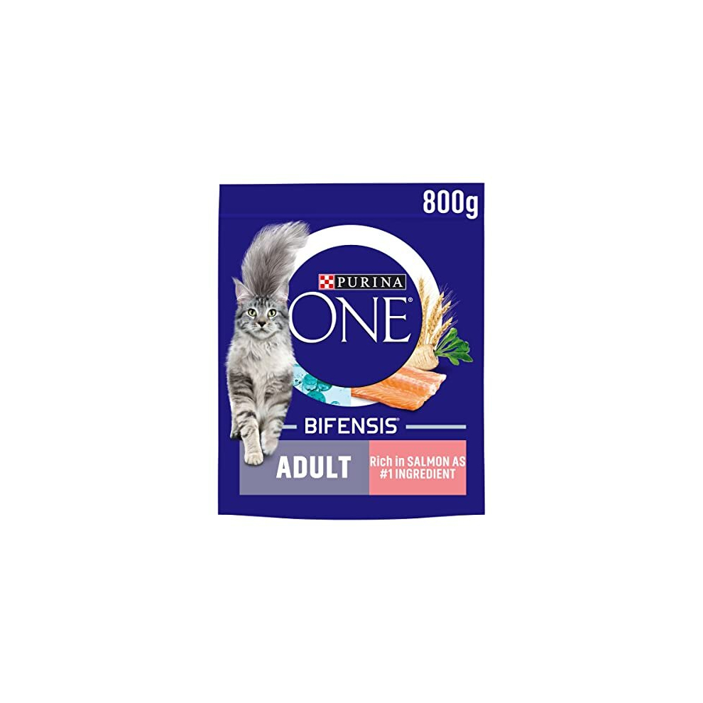 Purina ONE Adult Dry Cat Food Rich in Salmon 800g (Case of 4)