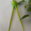 1 pair of samurai chopsticks learning training chopsticks multicolor samurai Chinese kids chopsticks learner 6