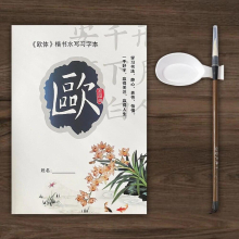 Regular Script Chinese Brush Calligraphy Practice Copybook Chinese Character Culture Learning No Ink Water Writing Set
