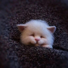 Non Finished Handcrafted Pocket Animal Pet Doll Toy Wool Needle Felting Kit Dog Cat Fox Rabbit Felt For DIY Needlework