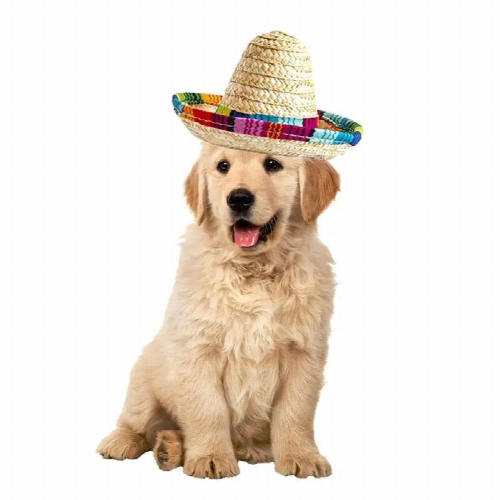Chihuahua Costume With Adjustable Sombrero Weewooday Mexican Dog Costume - Funny Sombrero Hat & Serape Poncho For Chihuahuas & Small Dogs Funny Dog Costume